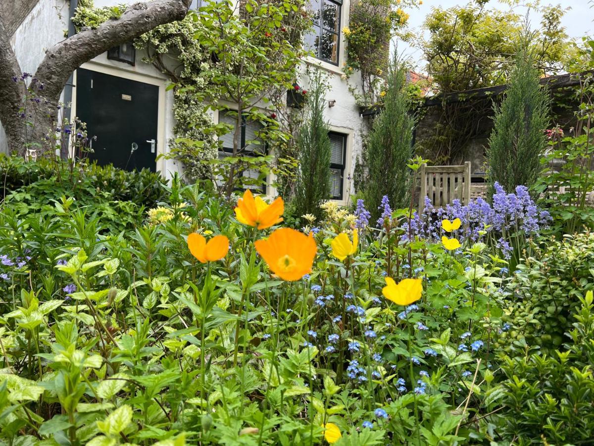 Apple Tree Cottage - Charming Home At Beautiful Canal In Our Idyllic Garden Gouda Exteriör bild