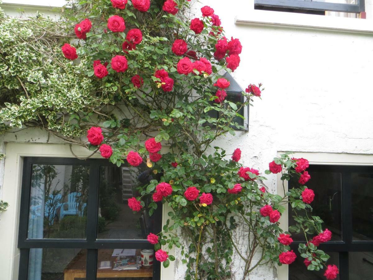 Apple Tree Cottage - Charming Home At Beautiful Canal In Our Idyllic Garden Gouda Exteriör bild